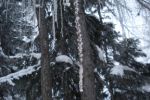 2015-02-06_Pleisenhuette  (115).JPG